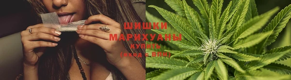 трава Михайловск