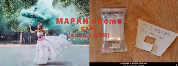 ECSTASY Михайлов