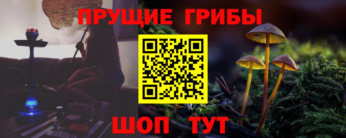Галлюциногенные грибы мицелий  Вход с VPN  Тихорецк  Галлюциногенные грибы Psilocybe 